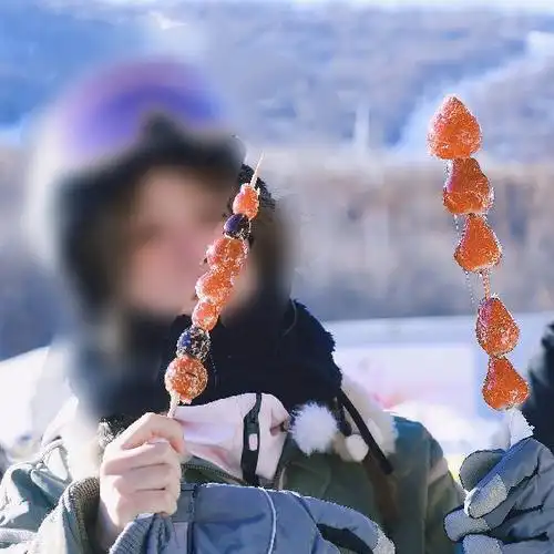 求拿着冰糖葫芦的图