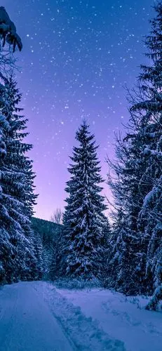 下雪天壁纸壁纸图片