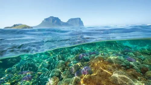 视觉盛宴!跟随水下摄影师的镜头,进入神秘未知的海底世界