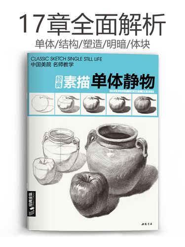 经典素描单体静物 临摹范本大画结构解剖与透视训练入门绘画画单个体