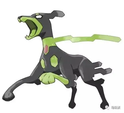 精灵宝可梦图鉴第87期搜神记50基格尔德上