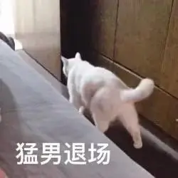 猛男退场  猫咪表情包_猫咪_猛男_退场表情