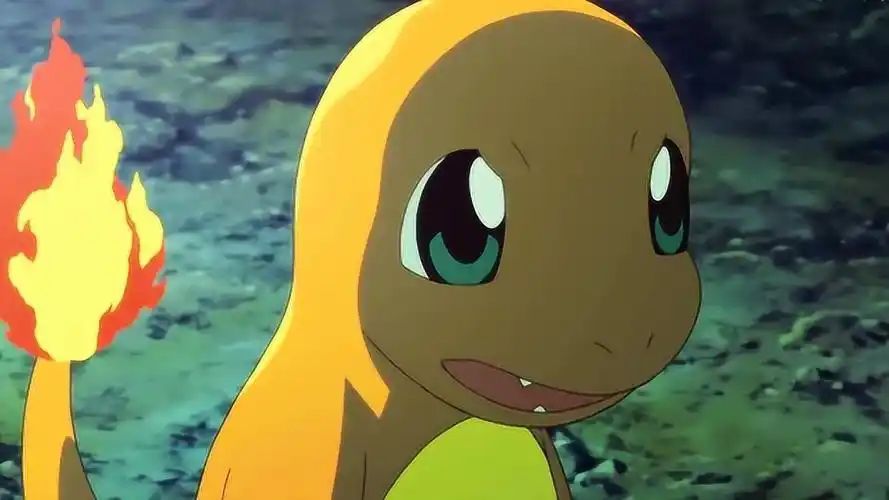 精灵宝可梦:小火龙成功加入小智军团,这下子战斗力又增加了