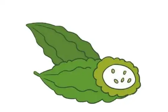 苦瓜简笔画图片