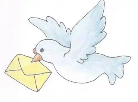 鸽子简笔画图片大全 鸽子简笔画图片大全可爱