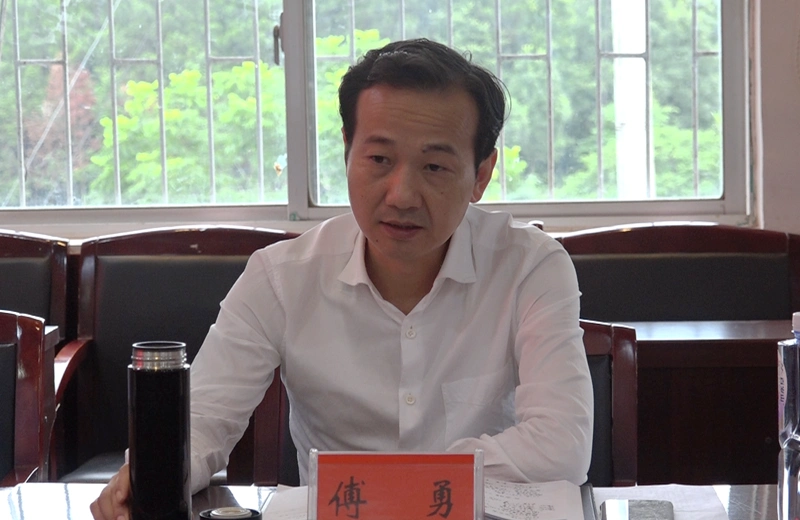 傅勇调研白衣镇发展工作