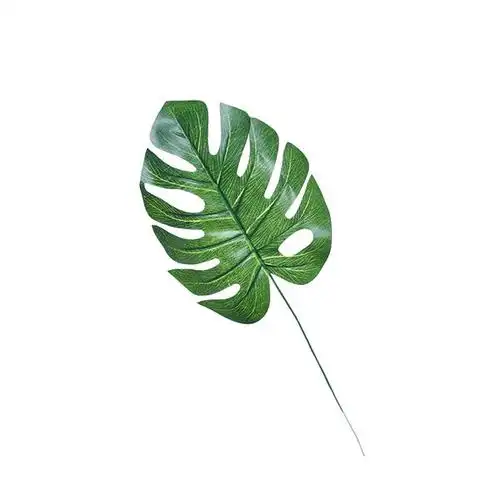 北欧风格树叶简笔画