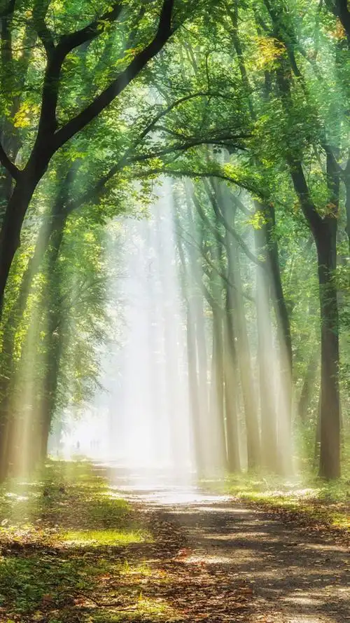 心情不好的时候看看风景