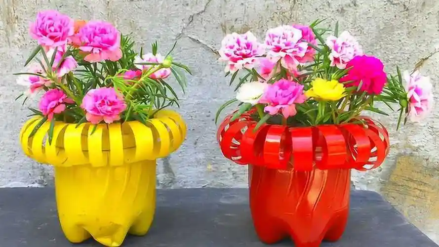 喝完的饮料瓶子别着急扔,简单的操作,秒变漂亮的花盆,变废为宝