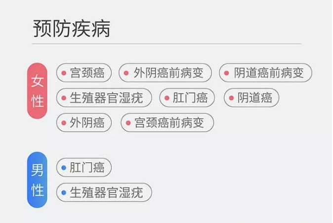 橄榄枝健康#_手机搜狐网