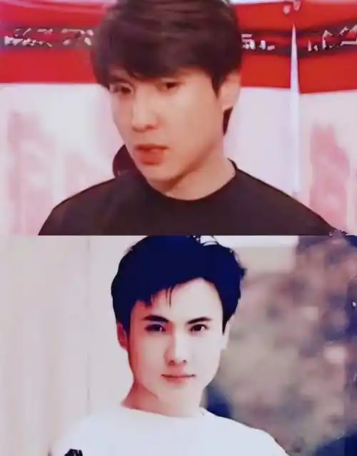 沈腾做客向往的生活回忆青春年轻时候的他不愧是校草