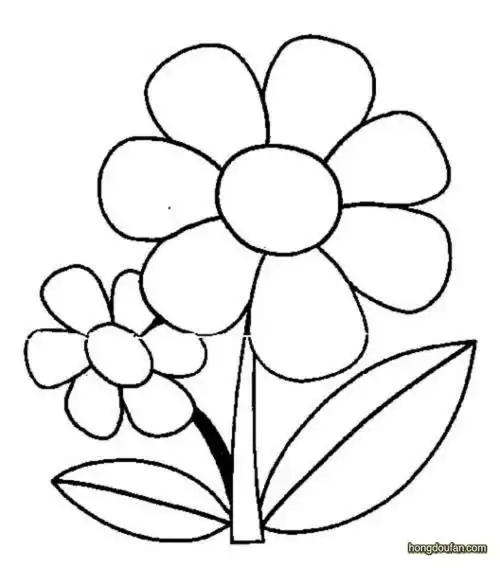 春天的小花朵要如何画花朵简笔画大全