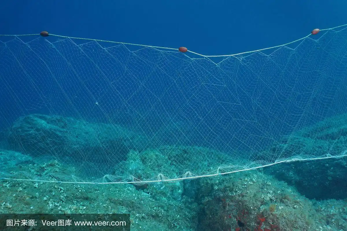 在海底下的刺网