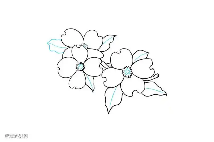 如何画山茱萸花简笔画