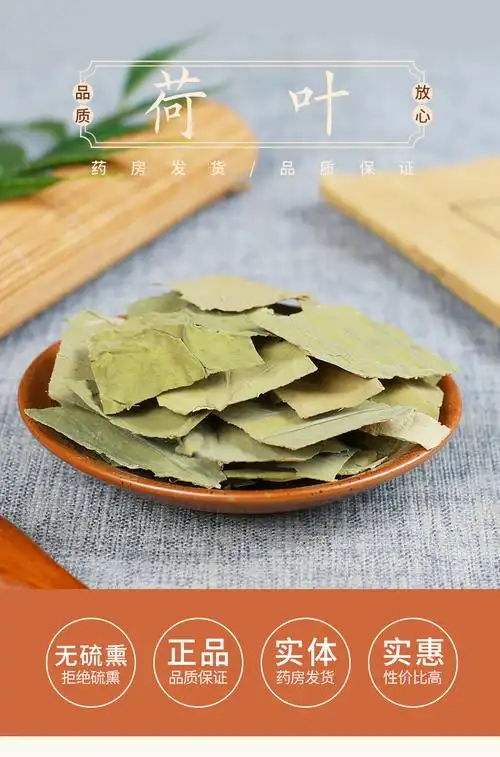 北京同仁堂荷叶荷叶干荷叶片叶可搭配冬瓜皮500克