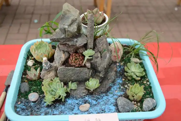 首届微景观大赛