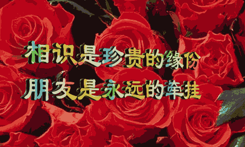 500_300gif 动态图 动图