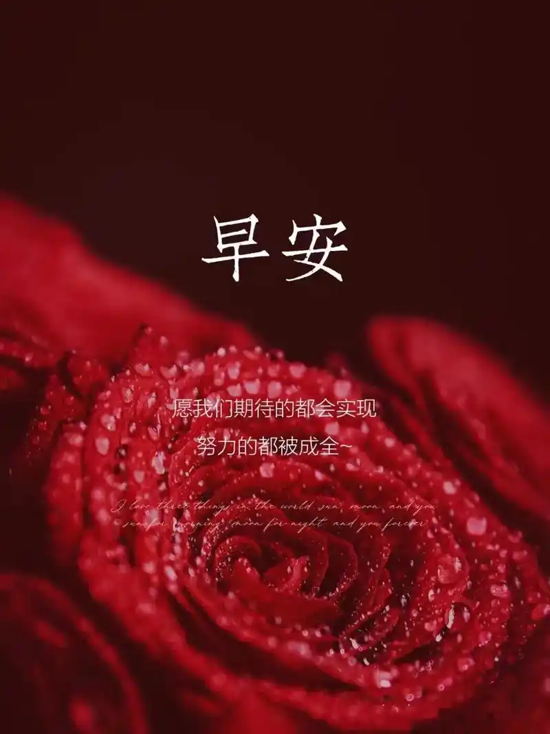 早安|适合早上发的句子|美图