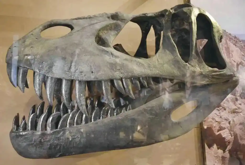 侏罗纪恐龙-侏罗之王蛮龙 - 抖音