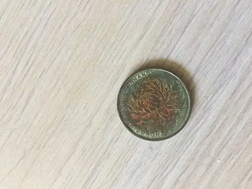 极其罕见的1999年菊花一元包