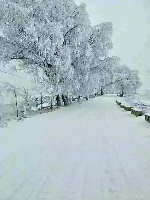 西安临潼大雪纷飞的风景, 景色像仙境一样美, 你去旅游欣赏过吗?