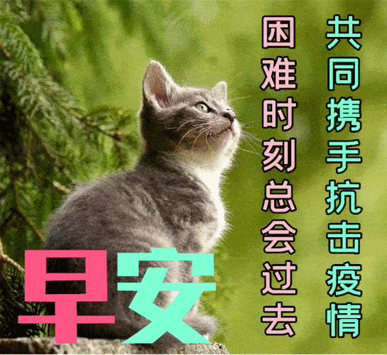 10月30日秋天早上好动态表情图片大全,早晨好动图美图大全_疫情_生活