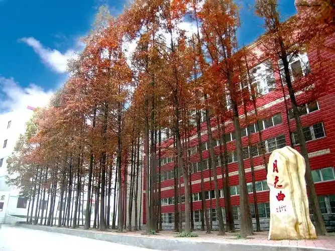 十堰的这所高中,不仅有良师益友,还有诗和远方!