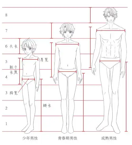 漫画人物结构画不好?看看别人是怎么画的(强烈建议收藏)