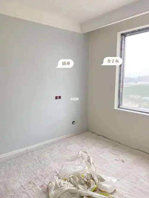 乳胶漆立邦杏子灰77银币