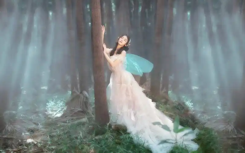 森林里性感迷人的小精灵