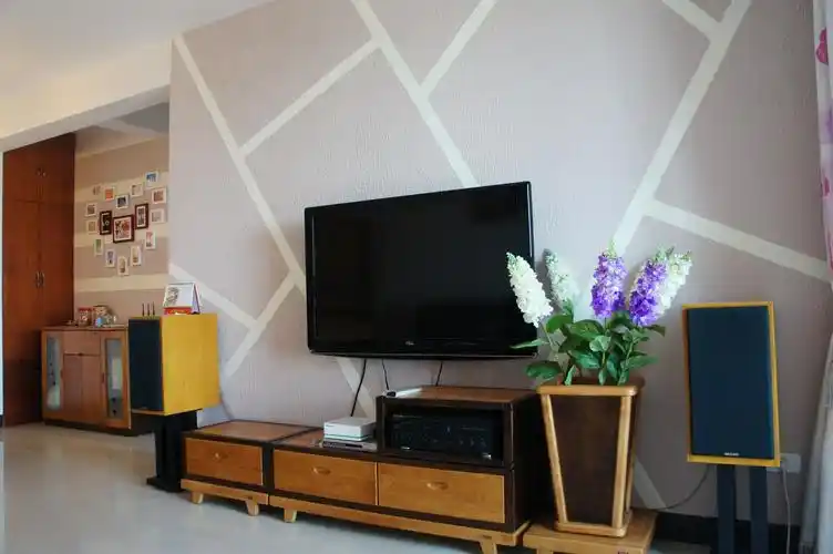 爱美瑞硅藻泥创造完美电视背景墙