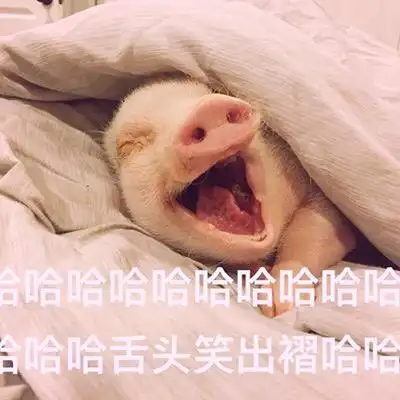 哈哈哈舌头笑出褶