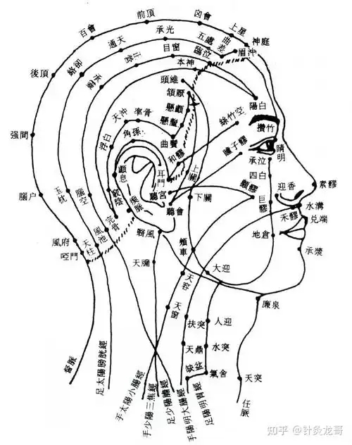 情侣亲吻颈部出现晕厥是触动了什么危险穴位颈部穴位安全吗