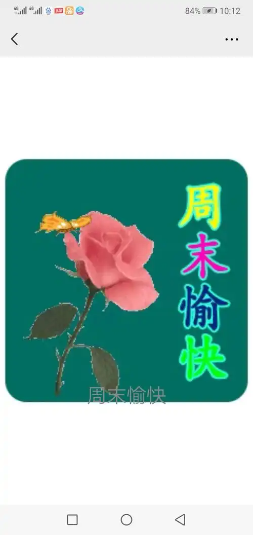 美篇下载 美篇           访问 美篇           qzone 扫码分享到微信