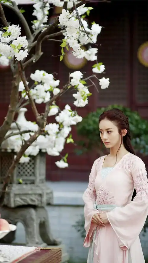 只存在于2017年播出的这部电视剧楚乔传里