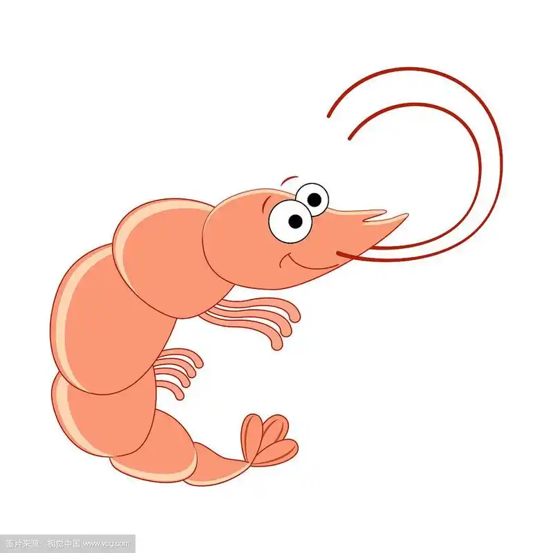可爱的卡通虾,海洋动物,海鲜