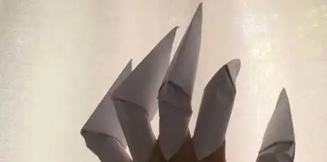 下面我们来学习用纸折飞爪吧!