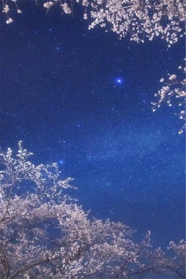 唯美梦幻星空高清手机桌面壁纸下载