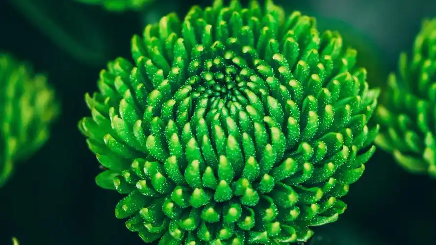 于2020-06-16上传元气壁纸平台,护眼壁纸【253】壁纸是一款电脑壁纸