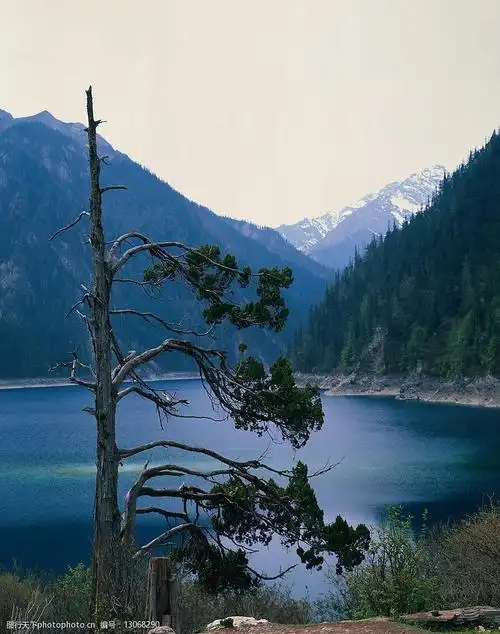 关键词:自然美景 青山 碧水 树 自然景观 自然风景 摄影图库 300 jpg