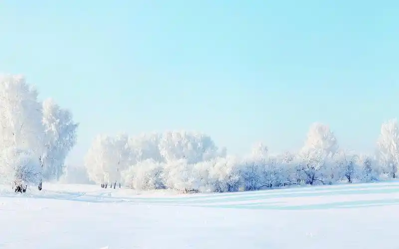 雪地,树木,积雪,天空,唯美,安静,冰雪雪地壁纸图片
