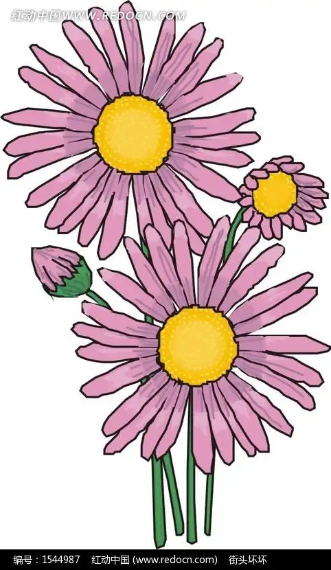 粉色手绘非洲菊