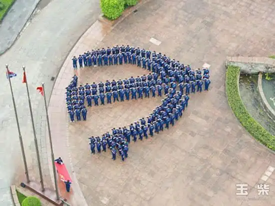 组成巨型的党徽队形,在集团公司党委书记李汉阳的带领下,面对鲜艳的