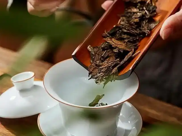 传授不用电秤控制投茶量的方法