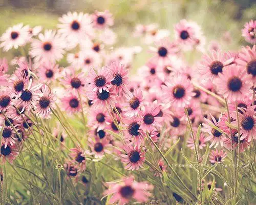 唯美意境伤感风景摄影个性意境图片