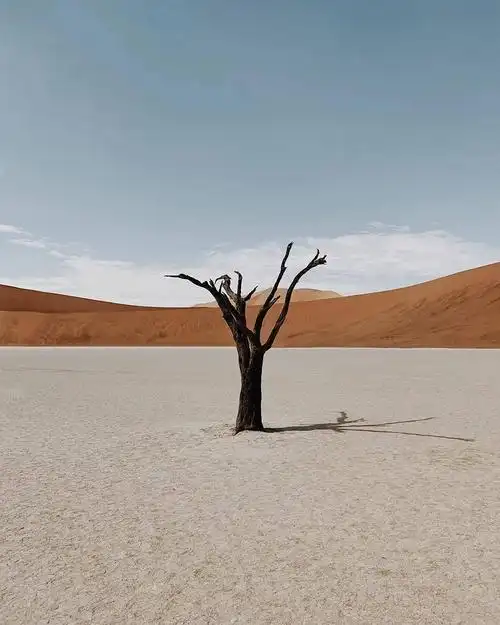 比赛展览世界手机摄影大赛获奖作品每一张都令人惊叹