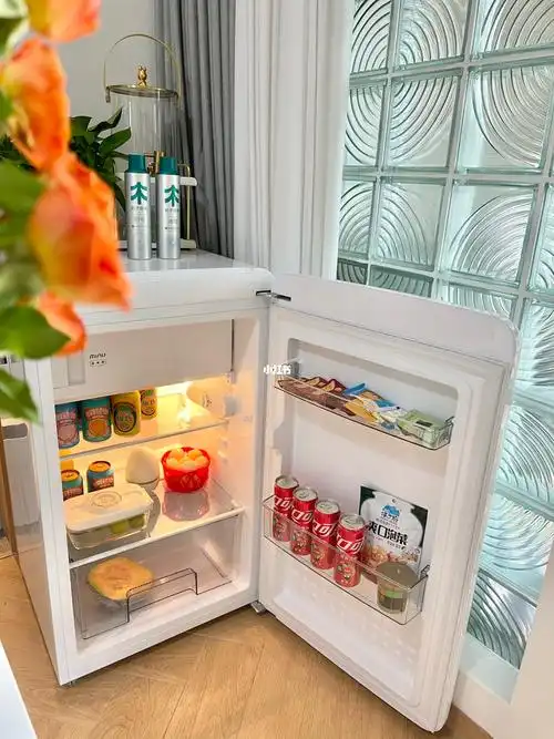 超解压冰箱清洁7575打开零食冰箱心情好到