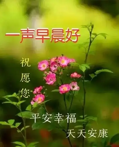 早上好朋友,清晨早上好问候祝福动态表情图片,最新早安问候祝福图片带