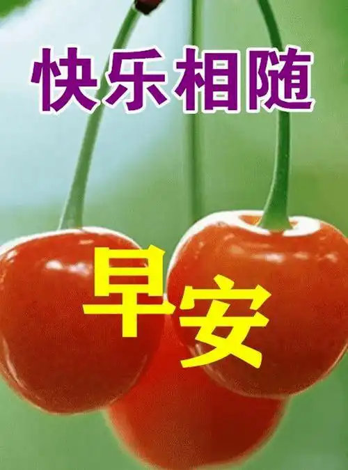 最新创意好看的早上好祝福图片,温馨唯美早安问候文字精选!