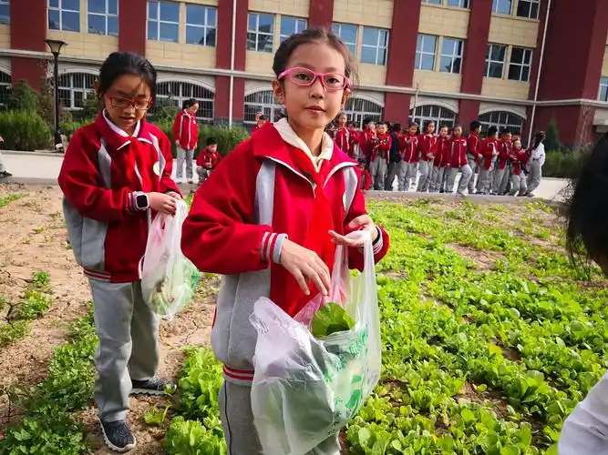 "德实劳动实践成果展示"之"购物,交往礼仪"